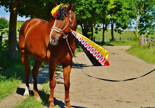 的唯一目标 的唯一目标