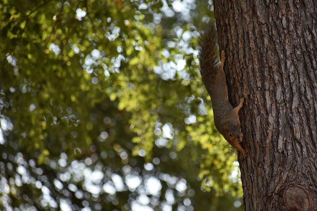 这让人不禁 这让人不禁
