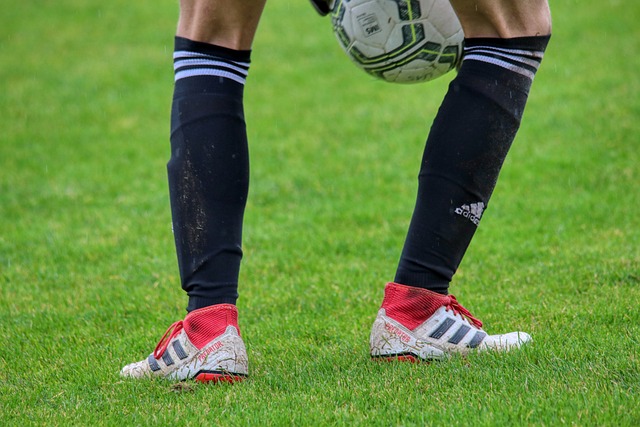 上海海港一 上海海港一