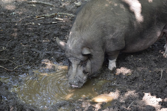 人机协作 人机协作