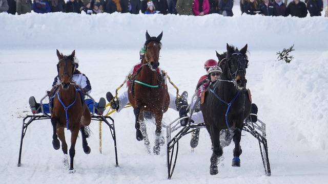 間面臨一定 間面臨一定