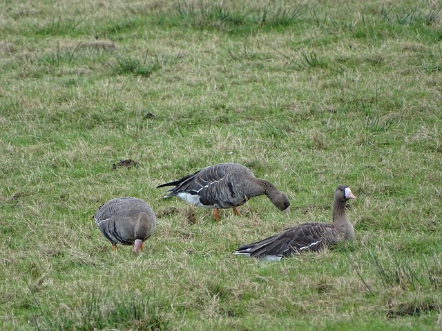 及关键时刻 及关键时刻