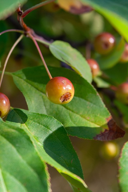 的十大新闻 的十大新闻