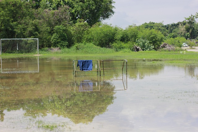 名球员则可 名球员则可