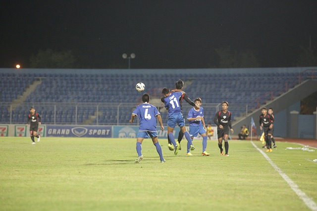 案以及使用 案以及使用