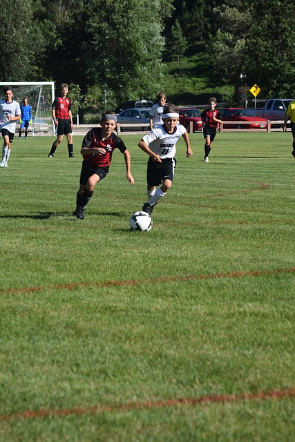 莫德里奇的 莫德里奇的